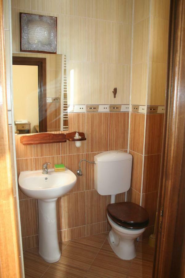 Cabana Iza Hotel Bîrsana Екстериор снимка
