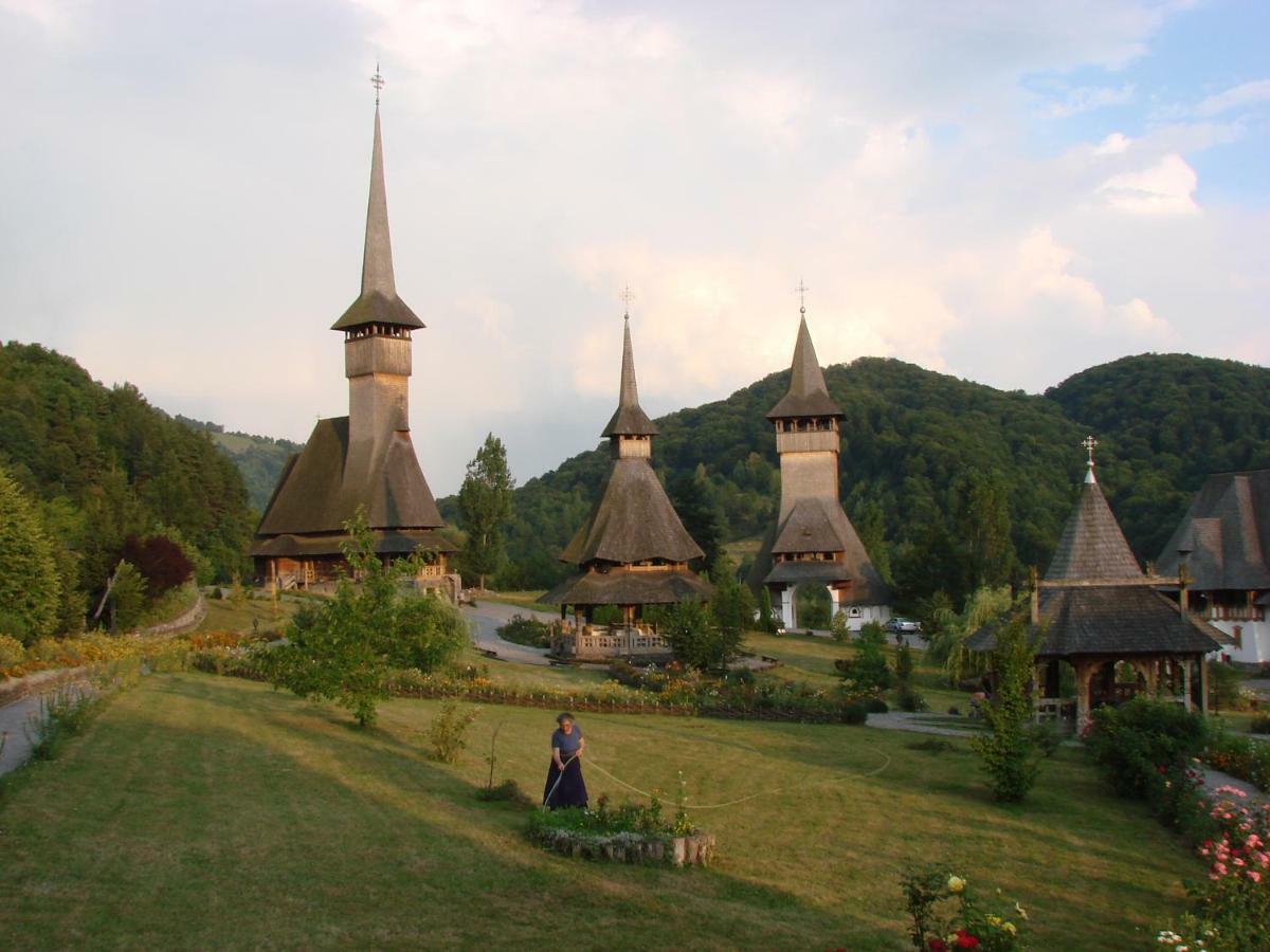 Cabana Iza Hotel Bîrsana Екстериор снимка