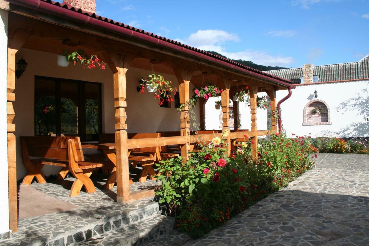 Cabana Iza Hotel Bîrsana Екстериор снимка